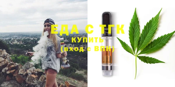 индика Балахна