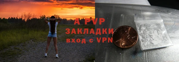 индика Балахна