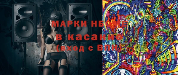индика Балахна
