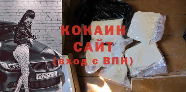 индика Балахна