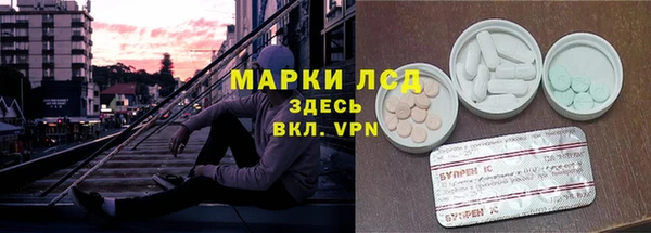 индика Балахна