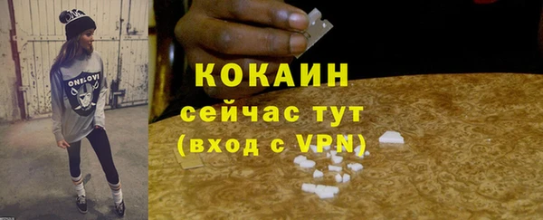 индика Балахна