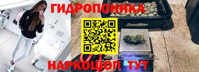 PSILOCYBIN Чебаркуль
