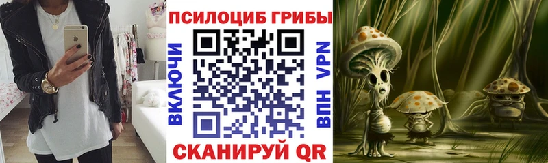 наркота  Пятигорск  Галлюциногенные грибы Psilocybe 