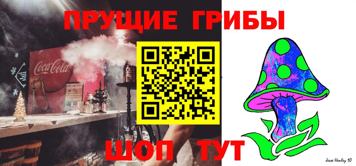 Псилоцибиновые грибы GOLDEN TEACHER Пятигорск