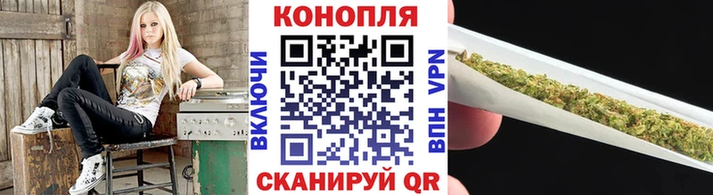 Бошки Шишки марихуана где найти ссылка на мегу вход Пятигорск